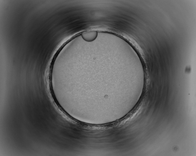 X0000103410941200810241205