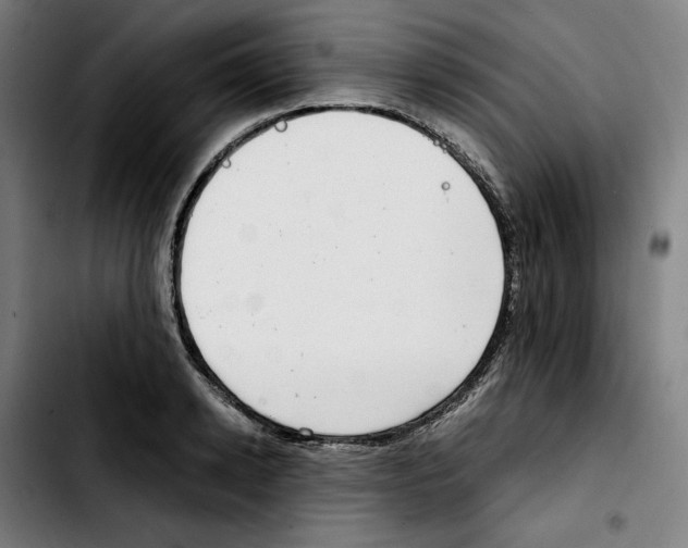 X0000103410942200810241205