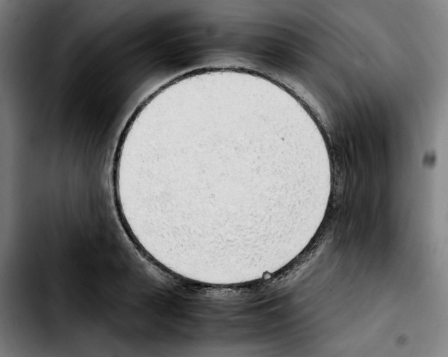 X0000103410943200810241205