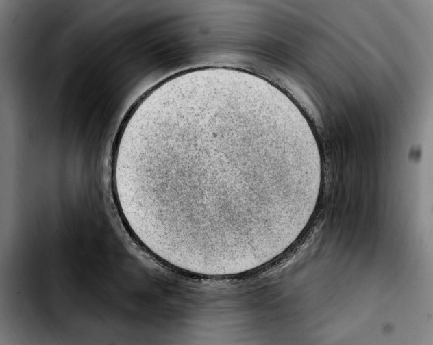 X0000103410944200810241205