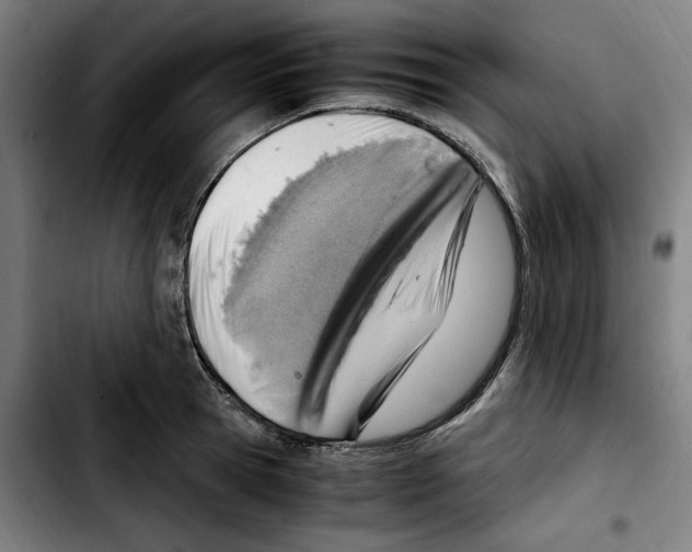 X0000103410945200810241205