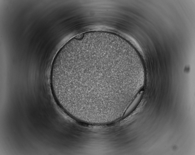 X0000103410946200810241205