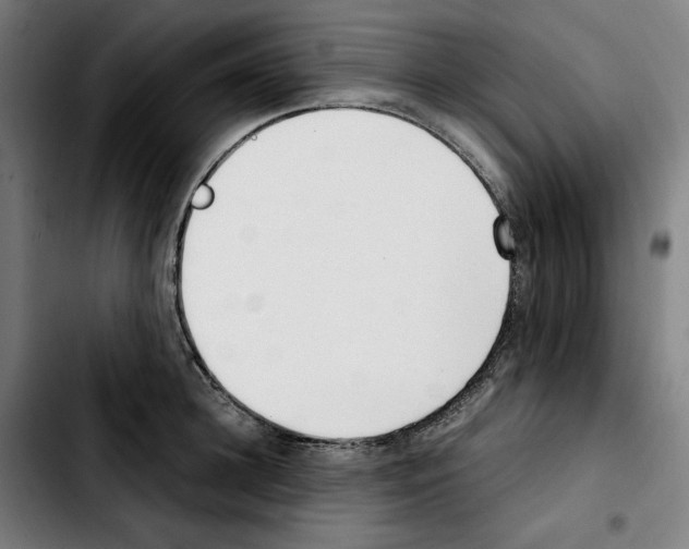 X0000103410948200810241205