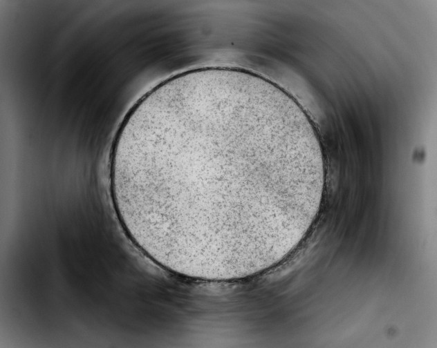 X0000103410950200810241205