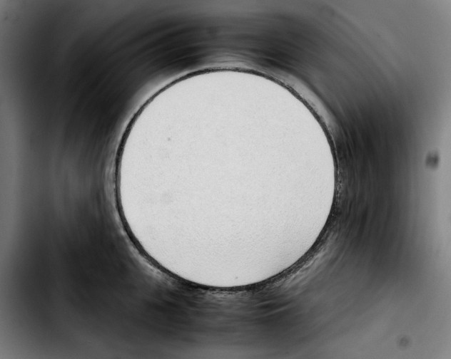 X0000103410951200810241205