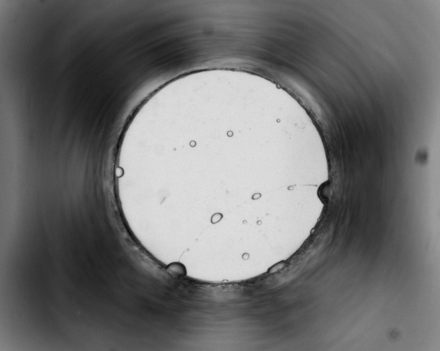 X0000103410952200810241205