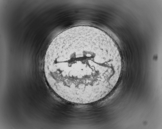 X0000103410953200810241205