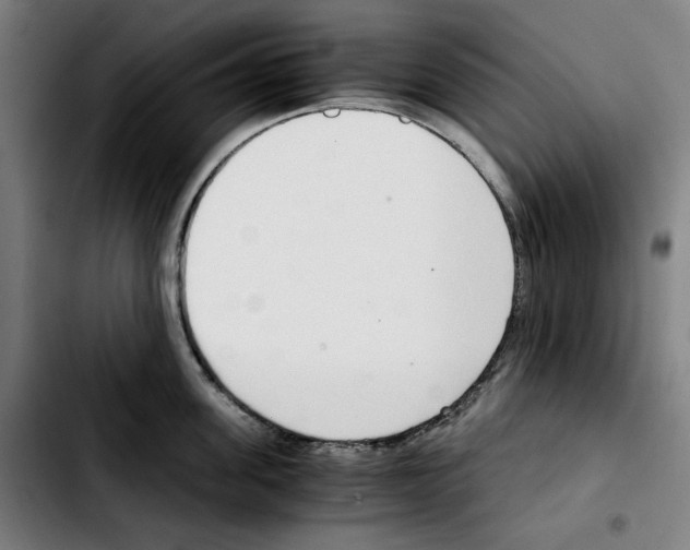 X0000103410955200810241205