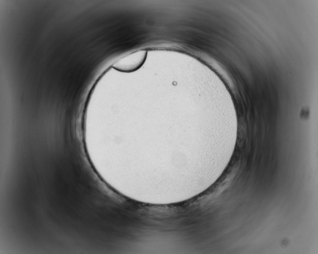 X0000103410959200810241205