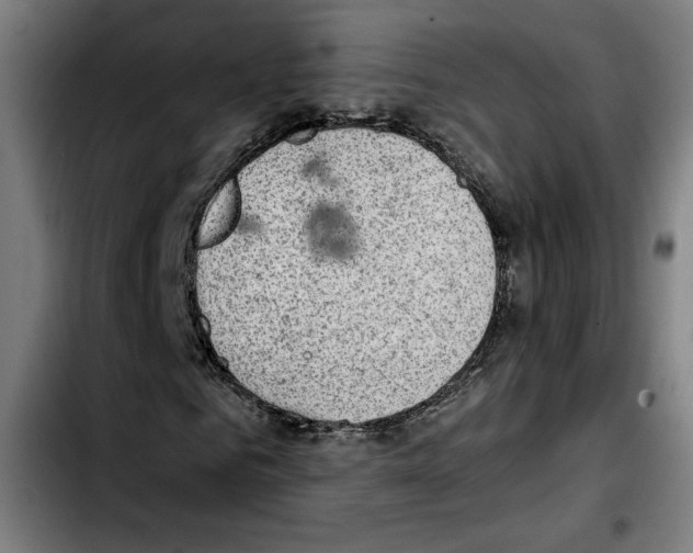 X0000103410961200810241205