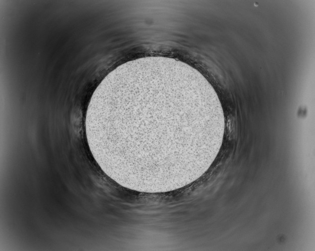 X0000103410963200810241205