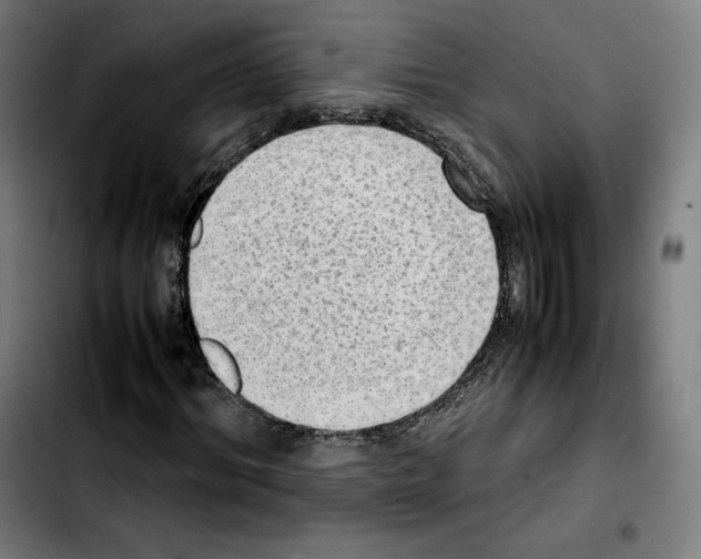 X0000103410964200810241205