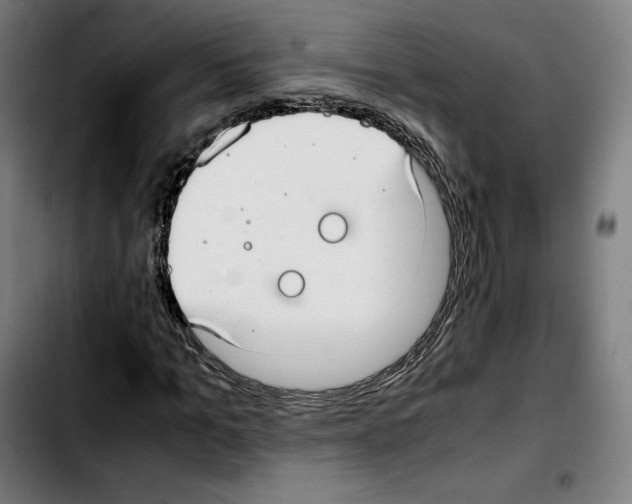 X0000103410965200810241205