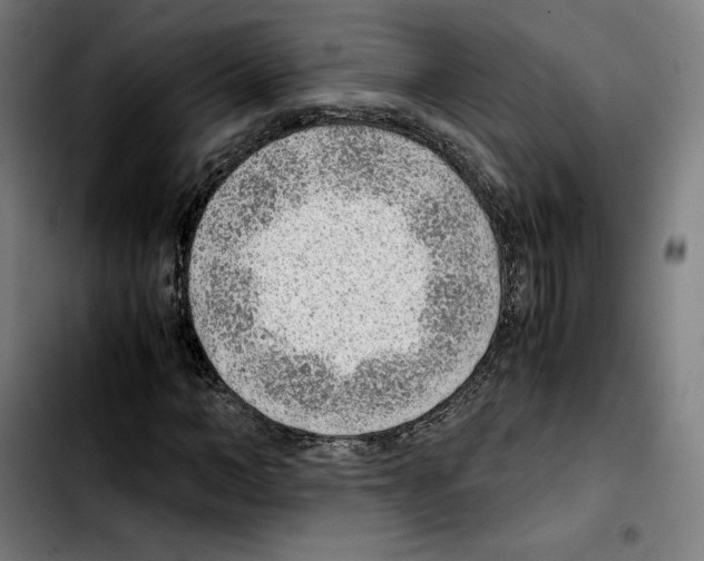 X0000103410966200810241205