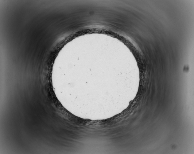 X0000103410967200810241205