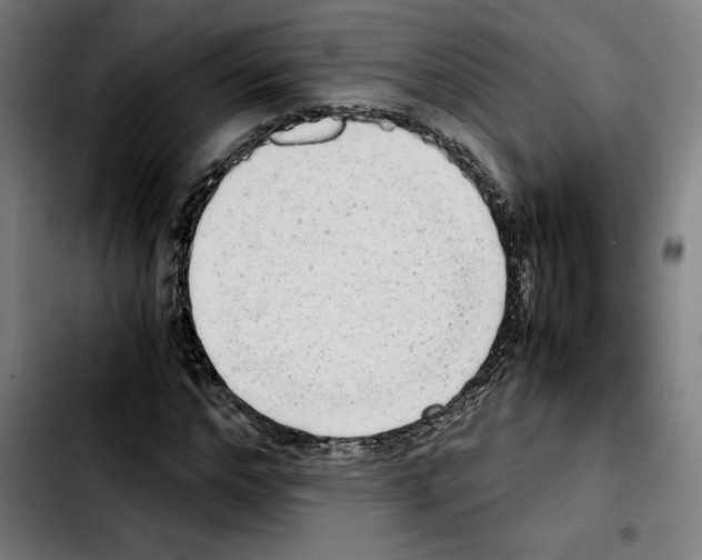 X0000103410968200810241205