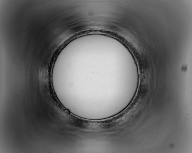 X0000103410969200810241205