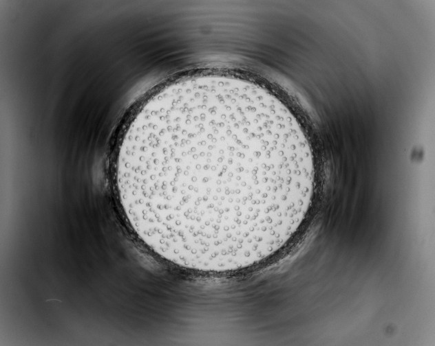 X0000103410970200810241205