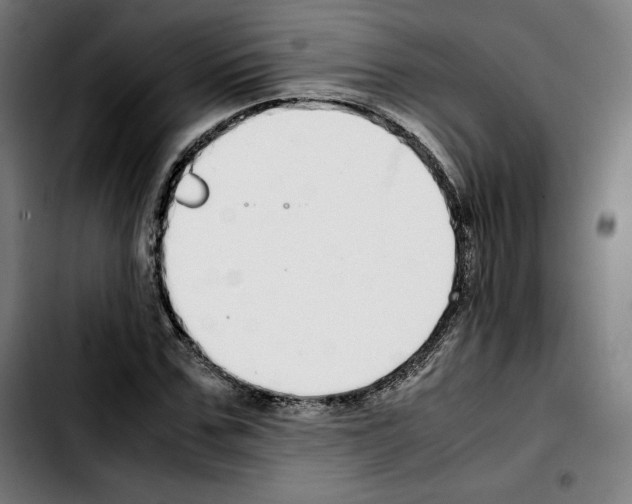 X0000103410971200810241205