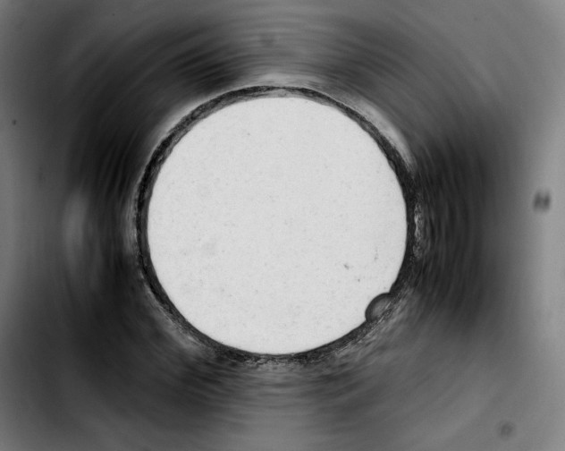 X0000103410972200810241205