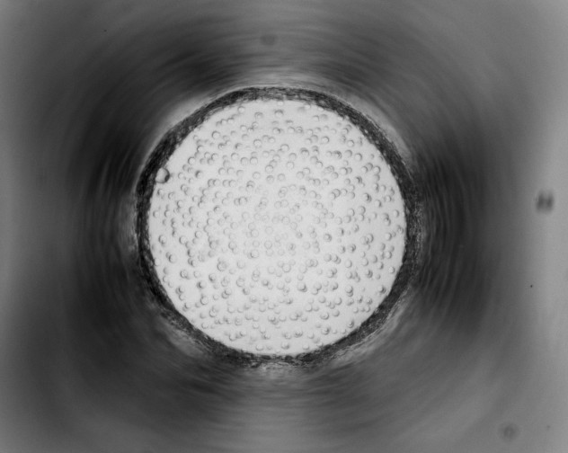 X0000103410974200810241205