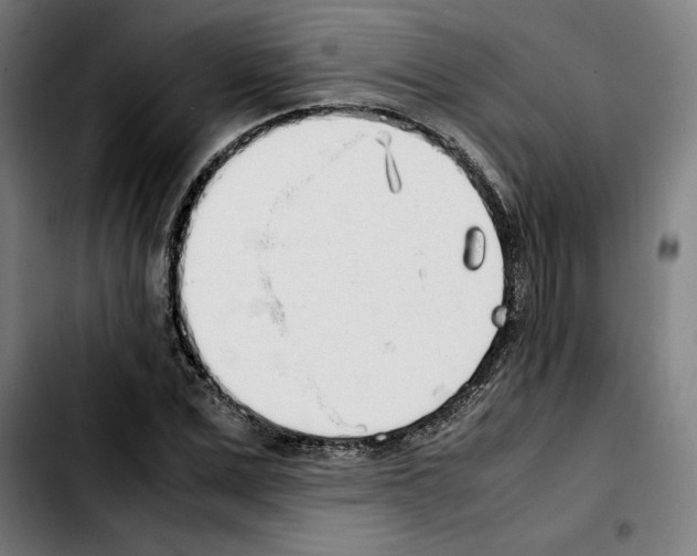 X0000103410975200810241205