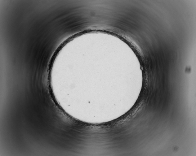 X0000103410976200810241205