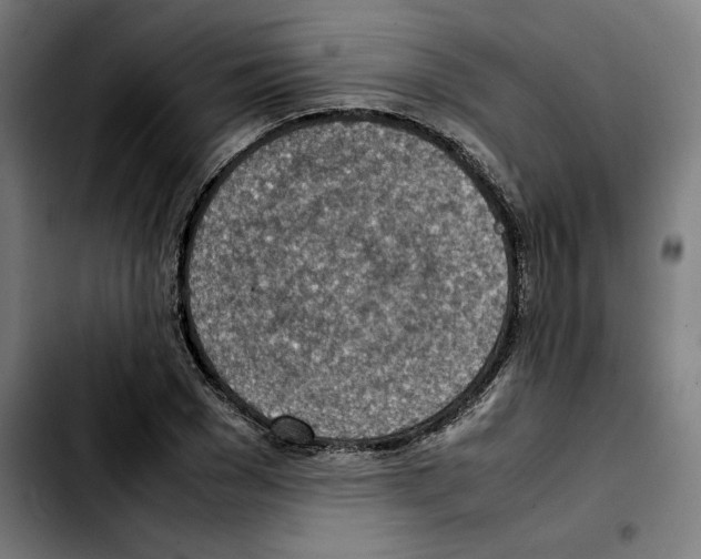 X0000103410977200810241205