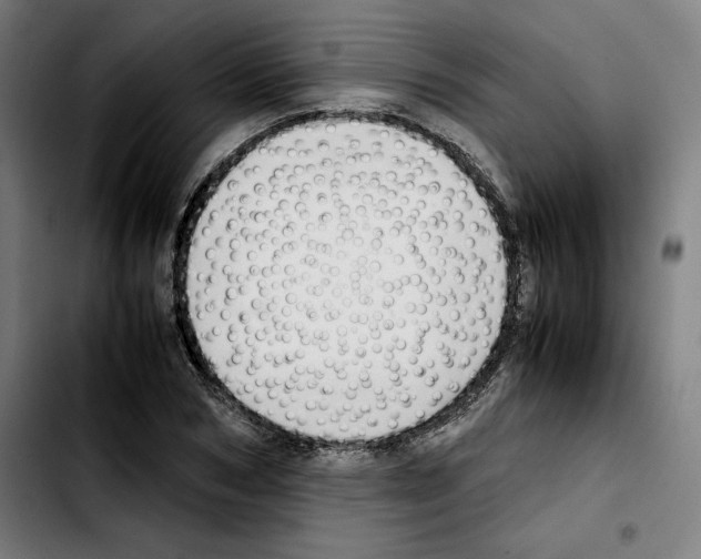 X0000103410978200810241205