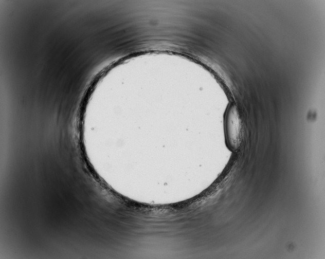 X0000103410979200810241205