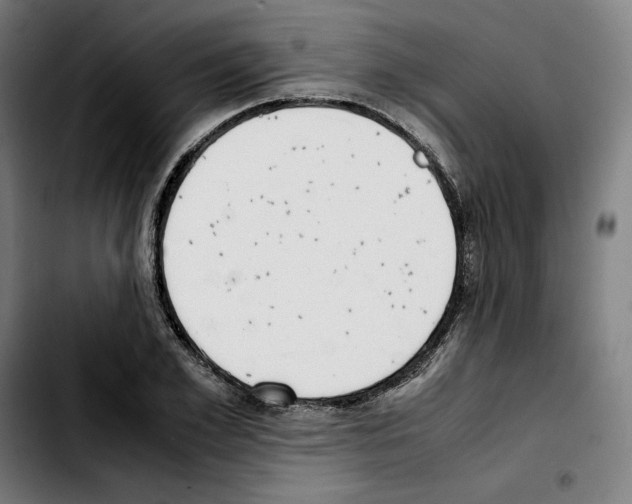 X0000103410981200810241205