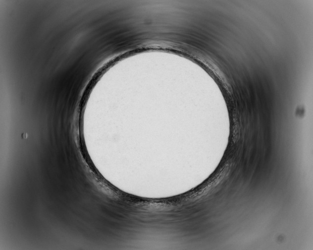 X0000103410984200810241204