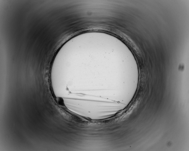 X0000103410985200810241204