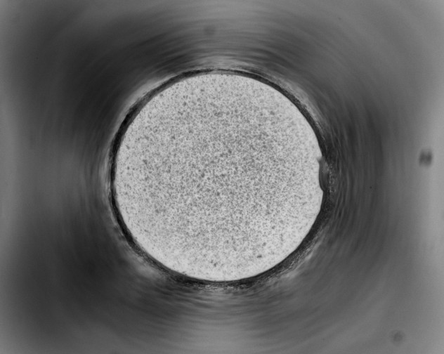 X0000103410987200810241204