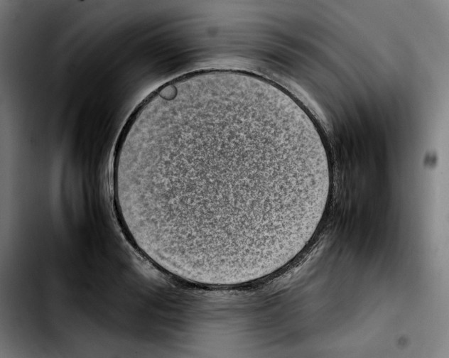 X0000103410988200810241204