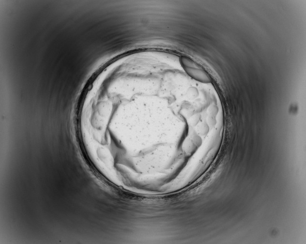 X0000103410989200810241204