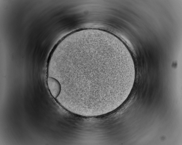 X0000103410992200810241204