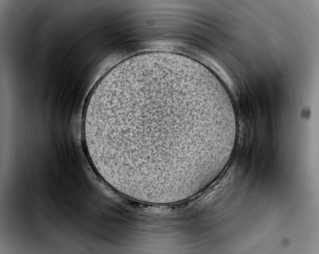 X0000103410994200810241204