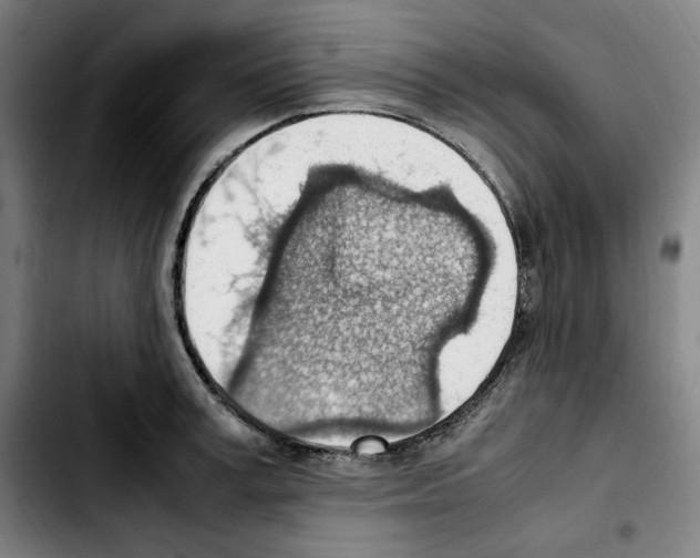 X0000103410995200810241204