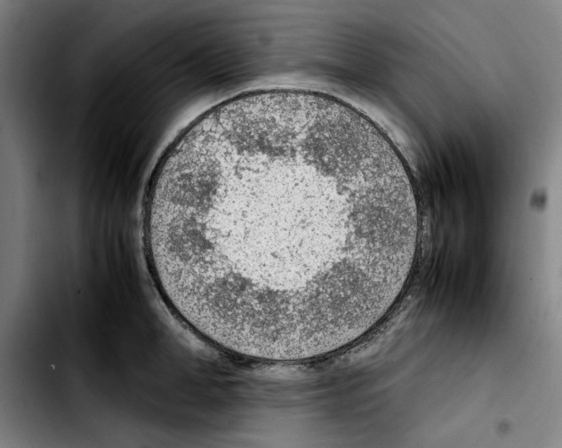 X0000103410998200810241204