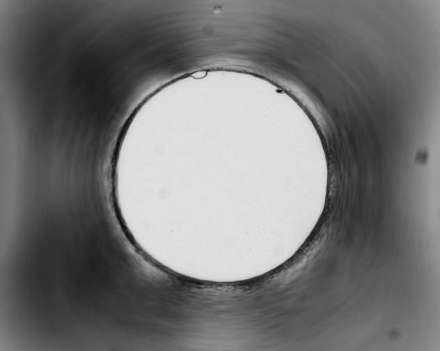 X0000103410999200810241204