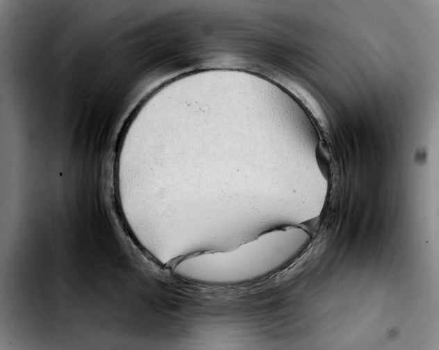 X0000103411000200810241204