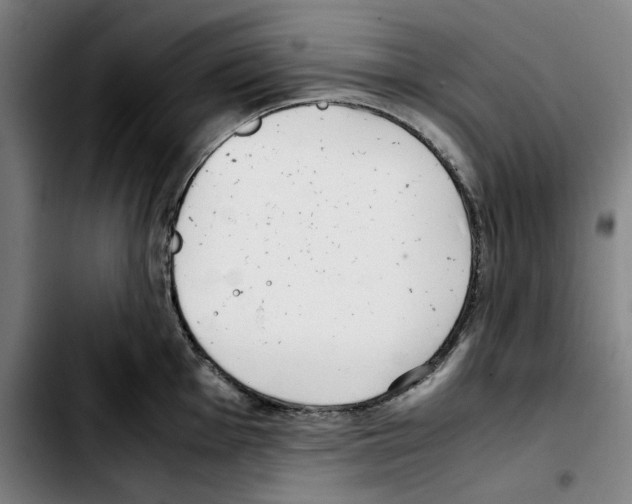 X0000103411001200810241204