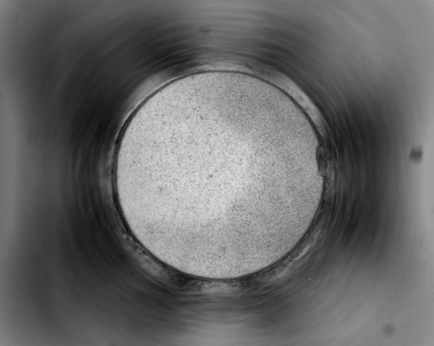 X0000103411002200810241204