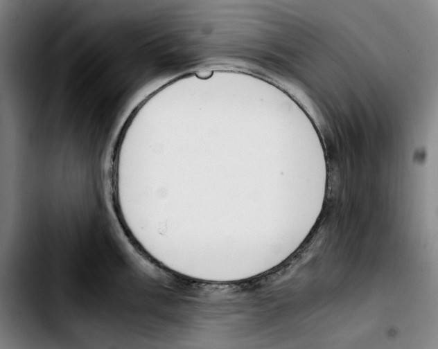 X0000103411003200810241204