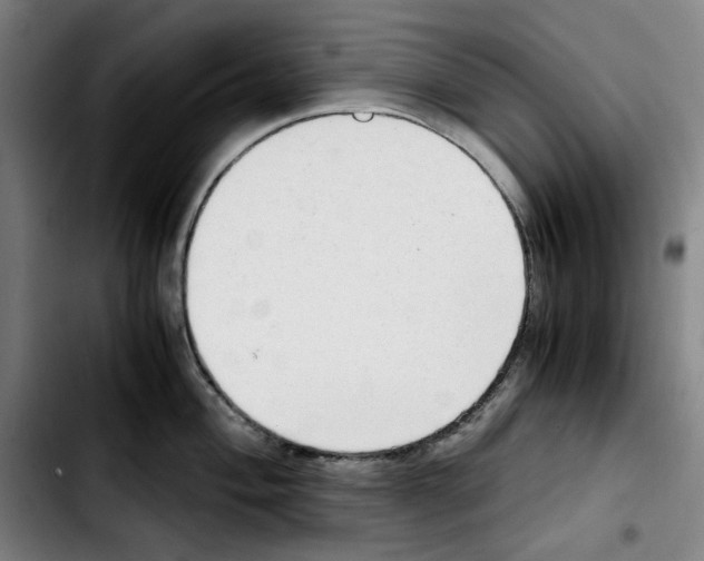 X0000103411004200810241204