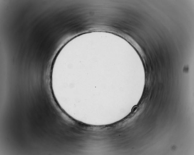 X0000103411005200810241204