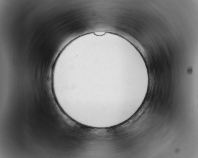 X0000103411006200810241204