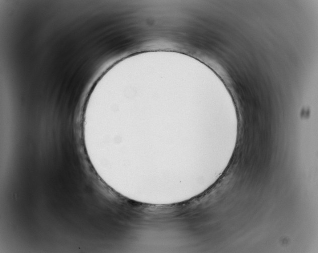 X0000103411008200810241204