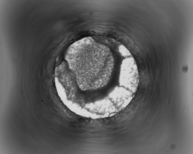 X0000103411009200810241203